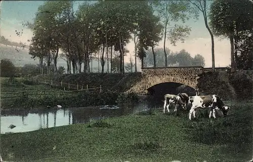 Ak Kühe weiden am Flussufer