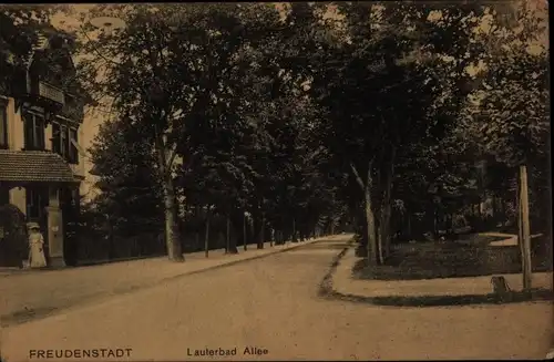 Ak Freudenstadt im Nordschwarzwald, Lauterbad Allee