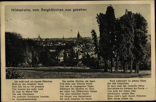 Ak Hildesheim in Niedersachsen, Panorama, Blick v. Berghölzchen