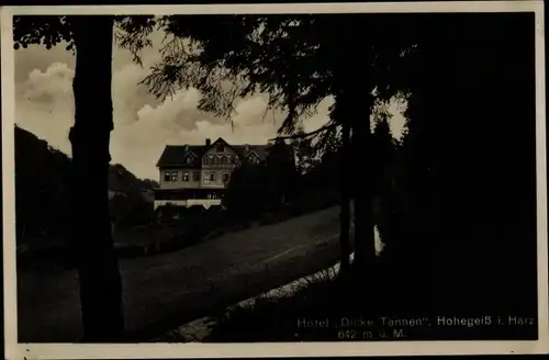 Ak Hohegeiß Braunlage im Oberharz,, Hotel Dicke Tanne