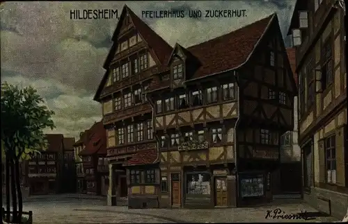 Künstler Ak Priesnitz, Hildesheim in Niedersachsen, Pfeilerhaus, Zuckerhut