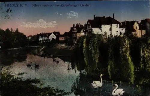 Ak Hildesheim in Niedersachsen, Schwaneninsel, Kaltenberger Graben