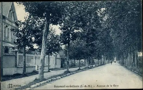 Ak Beaumont du Gâtinais Seine et Marne, Avenue de la Gare