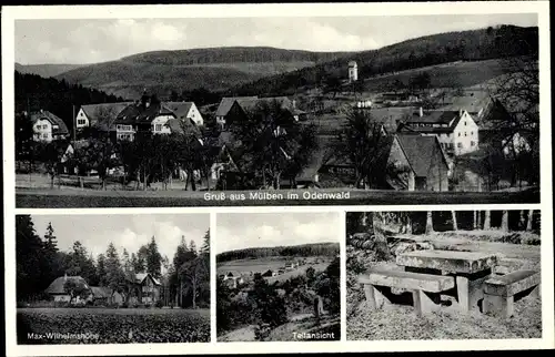 Ak Mülben Waldbrunn im Odenwald, Gesamtansicht, Max Wilhelmshöhe, Teilansicht