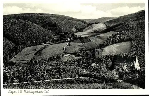 Ak Hagen in Westfalen, Mäckingerbachtal