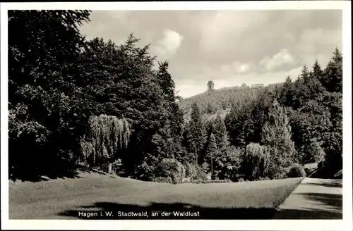 Ak Hagen in Westfalen, Stadtwald an der Waldlust