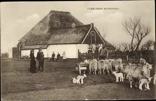 Ak Texel Nordholland Niederlande, Texelsche Boerderij