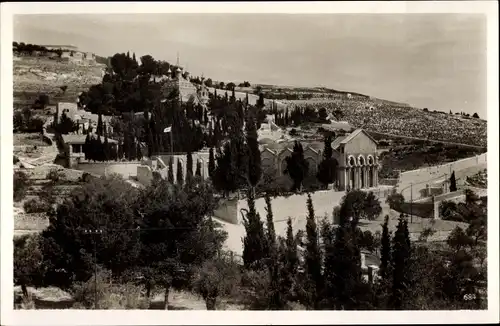 Ak Jerusalem Israel, Oelberg, Garten Gethsemane