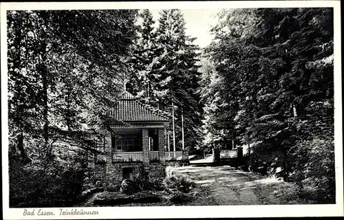 Ak Bad Essen in Niedersachsen, Trinkbrunnen