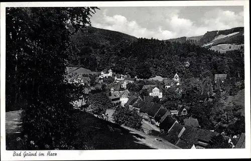 Ak Bad Grund im Harz, Teilansicht