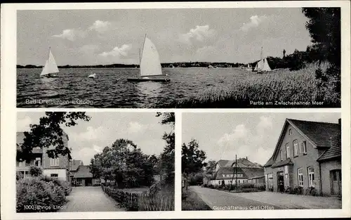 Ak Dreibergen Bad Zwischenahn in Oldenburg, Geschäft Carl Otten, Linde, Segelboote