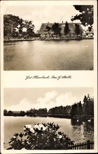 Ak Moorbek Großenkneten in Oldenburg, Gut Moorbeck