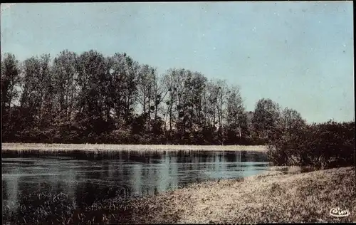 Ak Villiers sur Seine Seine et Marne, La Plage d'Athis