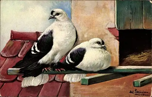 Künstler Ak Schönian, Alfred, Zwei Tauben sitzen an einem Dachboden