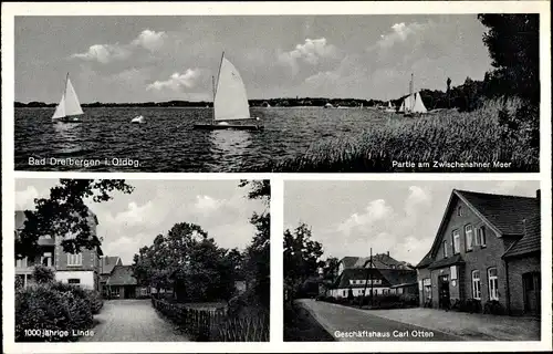 Ak Dreibergen Bad Zwischenahn in Oldenburg, Geschäft Carl Otten, Linde, Segelboote