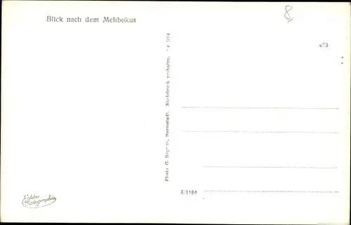 Ak Zwingenberg an der Bergstraße in Hessen, Melikobus, Frühling