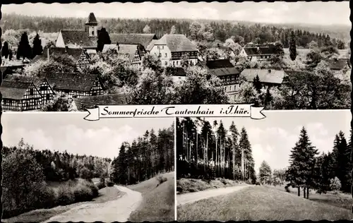 Ak Tautenhain in Thüringen, Panorama vom Ort, Waldpartie