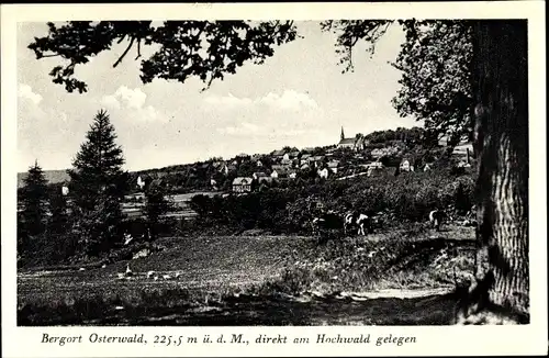 Ak Osterwald Salzhemmendorf Niedersachsen, Teilansicht, Gasthof Zum Fichtenwirt