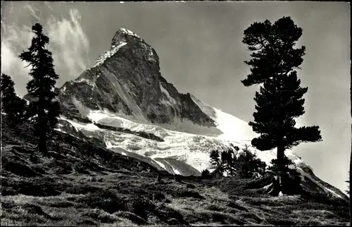 Ak Zermatt Kanton Wallis Schweiz, Staffelalp, Matterhorn