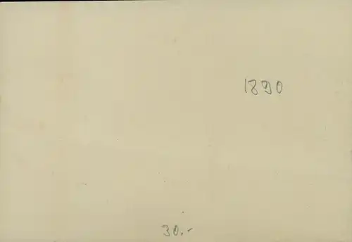 Foto 1890, Singen Hohentwiel Baden Württemberg, Gesamtansicht, Burg, Buchdruckerei