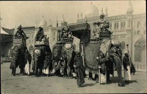Ak Gustav Hagenbeck's größte indische Völkerschau in der Welt, Elefanten