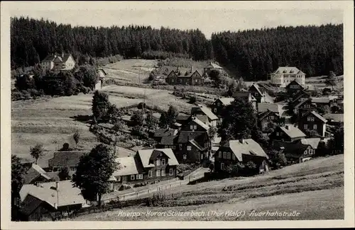 Ak Stützerbach Ilmenau Thüringer Wald, Auerhahnstraße, Teilansicht