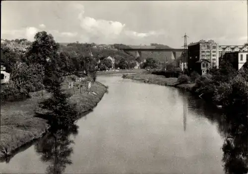 Ak Wilkau Haßlau in Sachsen, Muldenblick