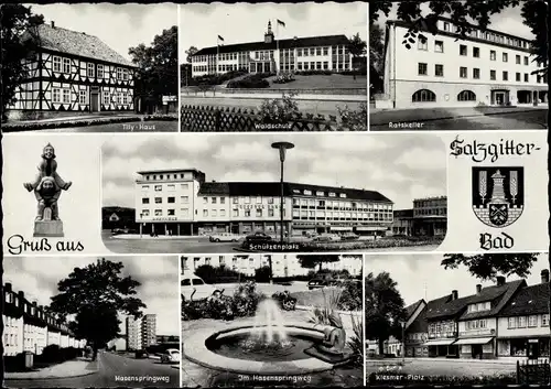 Ak Salzgitter in Niedersachsen, Schützenplatz, Tilly Haus, Ratskeller, Waldschule, Wappen