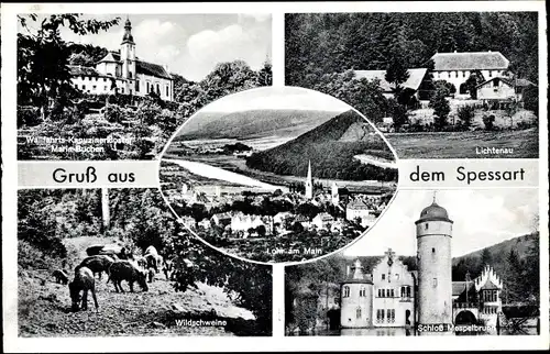 Ak Lichtenau Rothenbuch im Spessart, Kloster Maria Buchen, Schloss Mespelbrunn, Wildschweine, Ort