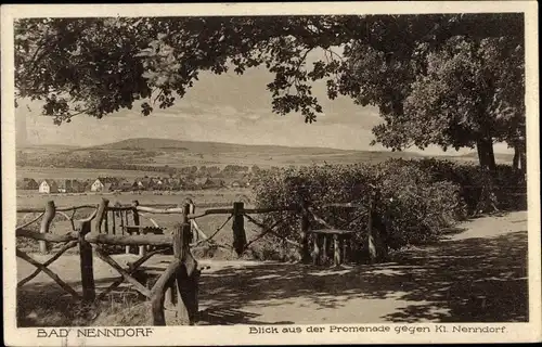 Ak Bad Nenndorf an der Weser, Blick aus der Promenade gegen Kl. Nenndorf