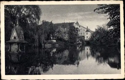 Ak Buxtehude in Niedersachsen, Beim Stadtpark