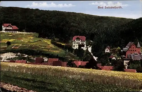 Ak Bad Salzdetfurth in Niedersachsen, Stadtpanorama, Felder