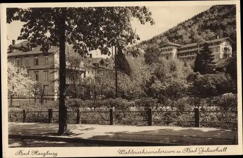 Ak Bad Harzburg am Harz, Waldparksanatorium und Bad Julishall