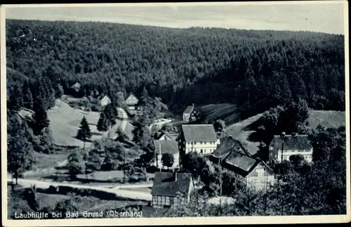 Ak Bad Grund im Harz, Laubhütte, Ort, Wald