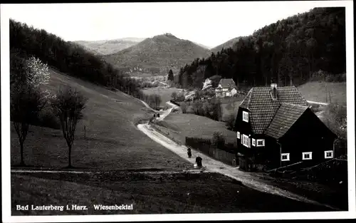 Ak Bad Lauterberg im Harz, Wiesenbektal, Häuser