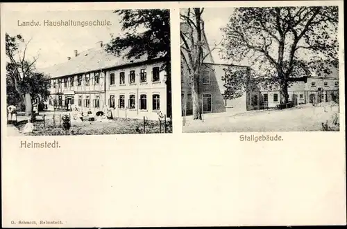 Ak Helmstedt in Niedersachsen, Stallgebäude, Landw. Haushaltungsschule