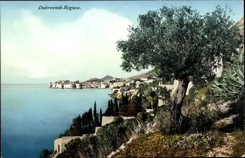 Ak Ragusa Dubrovnik Kroatien, Küste, Purger 10161