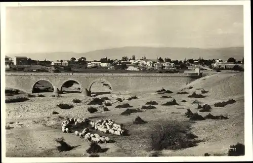 Ak Jericho Palästina, Teilansicht des Ortes, Brücke