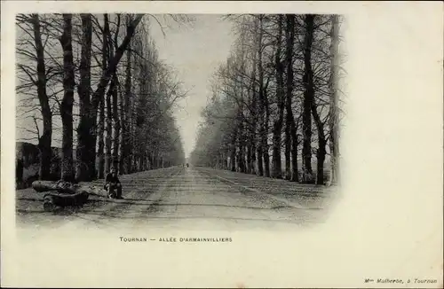 Ak Tournan Seine et Marne, Allee d'Armainvilliers