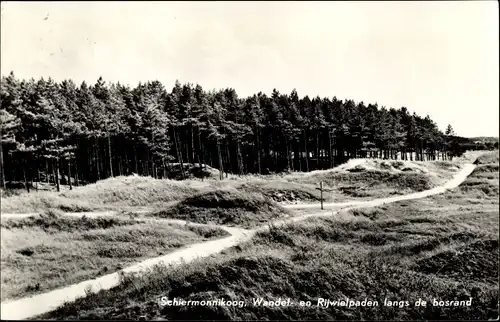 Ak Schiermonnikoog Friesland Niederlande, Wendel- en Rijwielpaden langs de bosrand