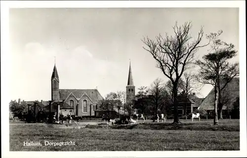 Ak Hallum Friesland Niederlande, Dorpsgezicht