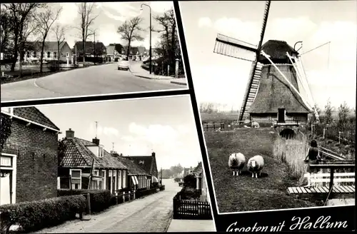 Ak Hallum Friesland Niederlande, Windmühle, Schafe, Straßenpartie, Häuser