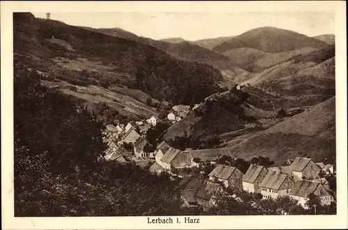 Ak Lerbach Osterode am Harz, Teilansicht, Ort, Berge