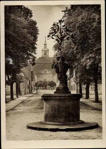 Ak Oranienbaum Wörlitz Sachsen Anhalt, Markt