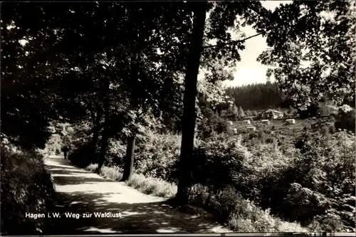 Ak Hagen in Westfalen, Weg zur Waldlust