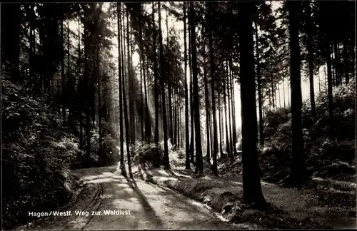 Ak Hagen in Westfalen, Weg zur Waldlust