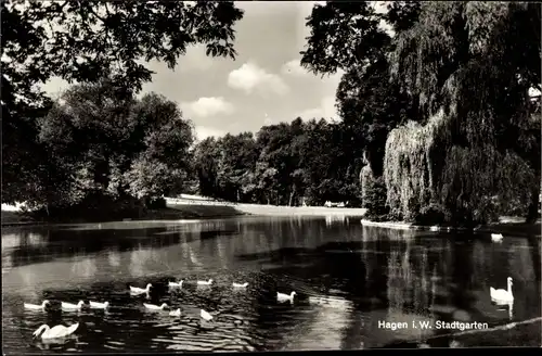 Ak Hagen in Westfalen, Stadtgarten, Teich