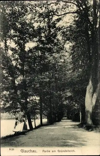 Ak Glauchau in Sachsen, Partie im Gründelteich