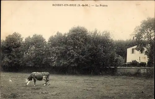 Ak Roissy en Brie Seine et Marne, La Prairie