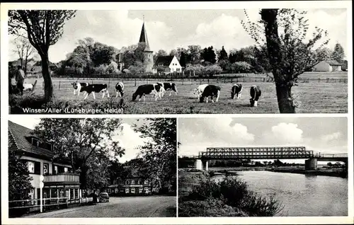 Ak Winsen an der Aller, Brücke, Kuhherde, Gesamtansicht, Straßenpartie